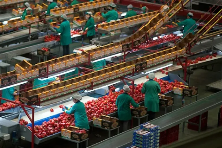 Nature Choice background