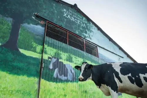 Casa Grande de Xanceda (España)