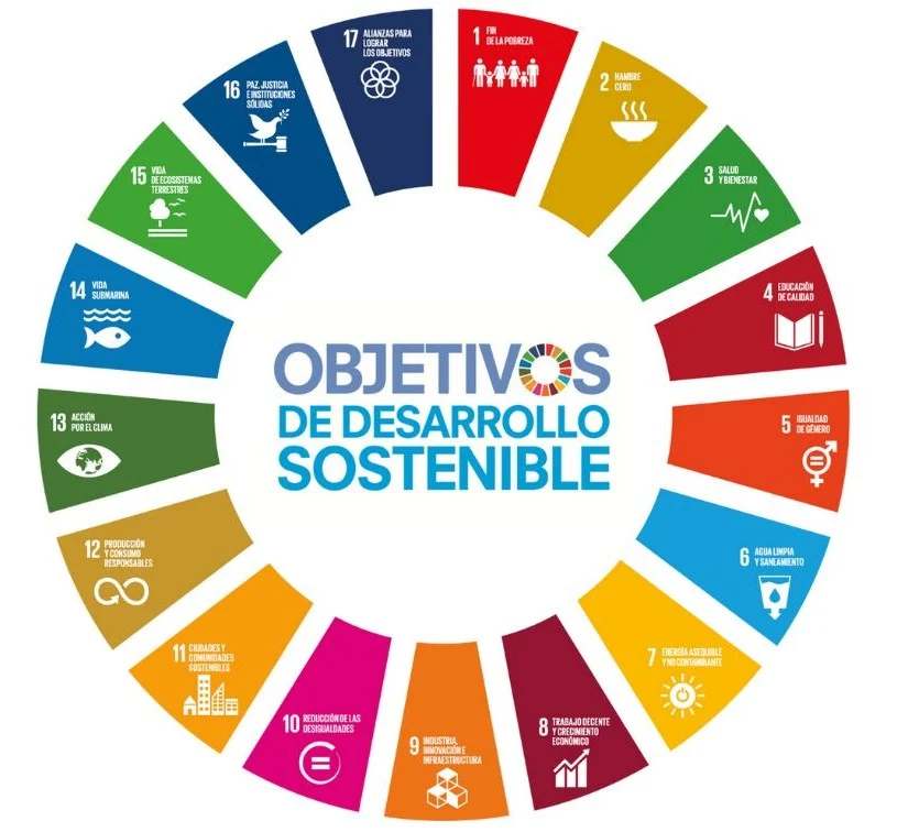 ¿Cuáles son los Objetivos de Desarrollo Sostenible?