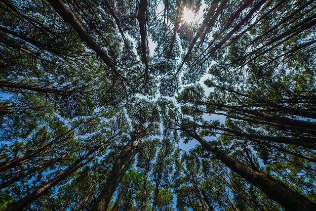 Guía para que las empresas reduzcan su huella de carbono
