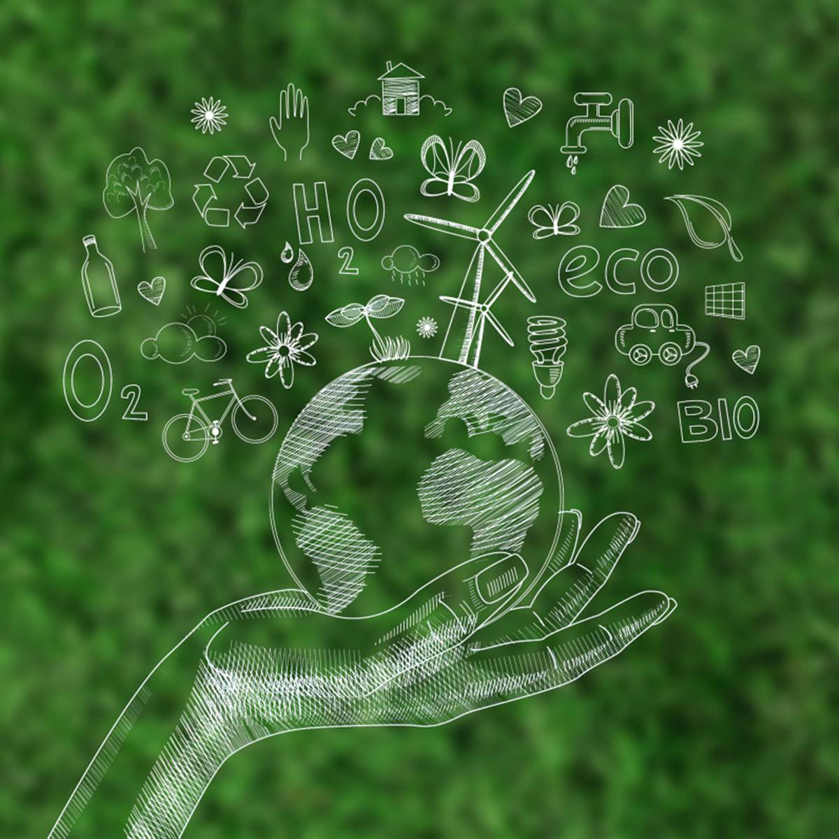 Estrategias para la reducción de huella de carbono en tu empresa