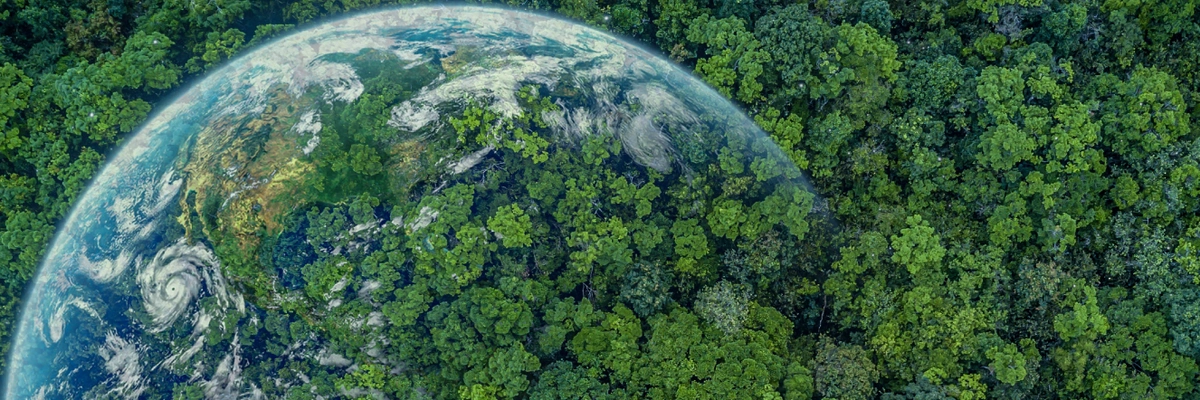 Cómo reducir las emisiones de CO2 en tu empresa