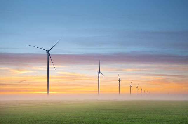 Compromisos Globales y la carrera hacia el futuro Net Zero