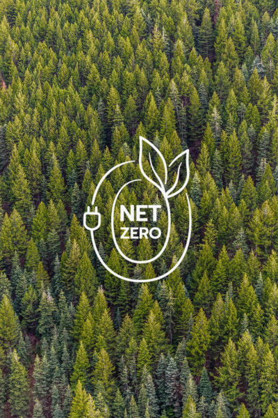 Compromisos Globales y la carrera hacia el futuro Net Zero