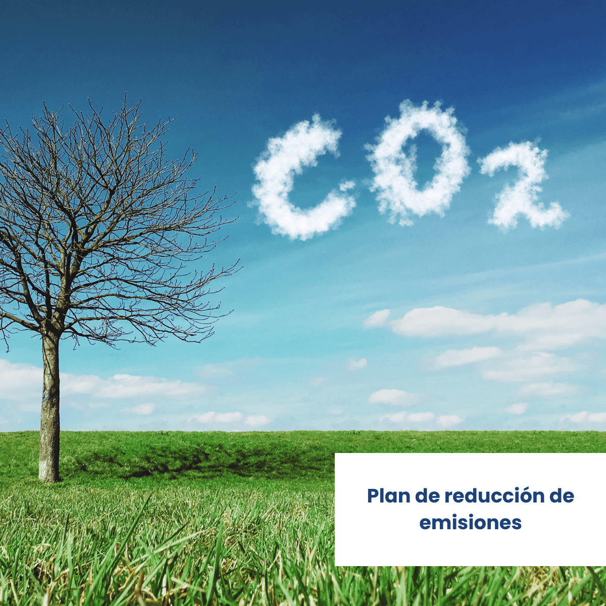 Plan de reducción de emisiones
