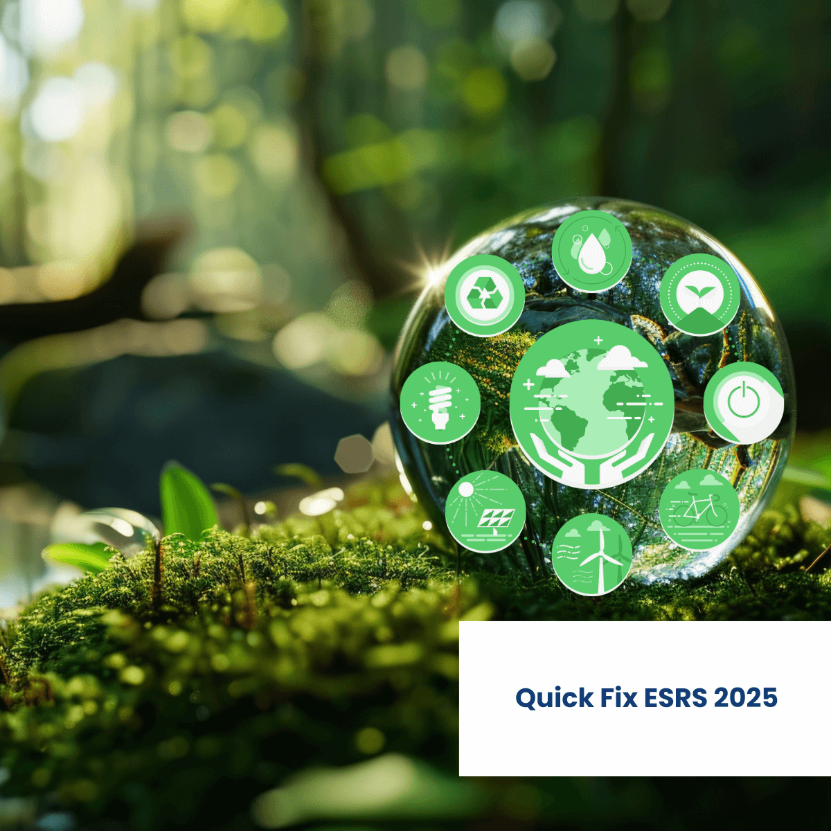 ESRS 2025: Guía Completa de Cambios y su Impacto en la CSRD